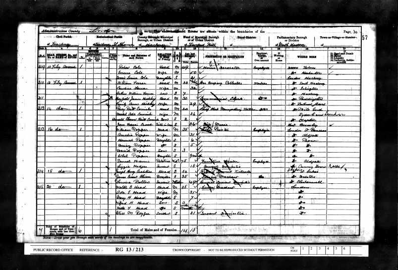 1901 Census