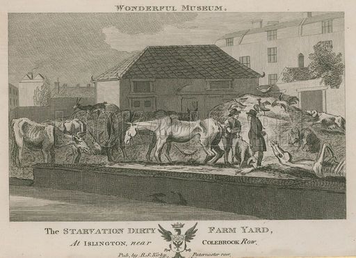 Starvation Dirty Farm Yard Islington Colebrook Row - Animals Knacker Yard