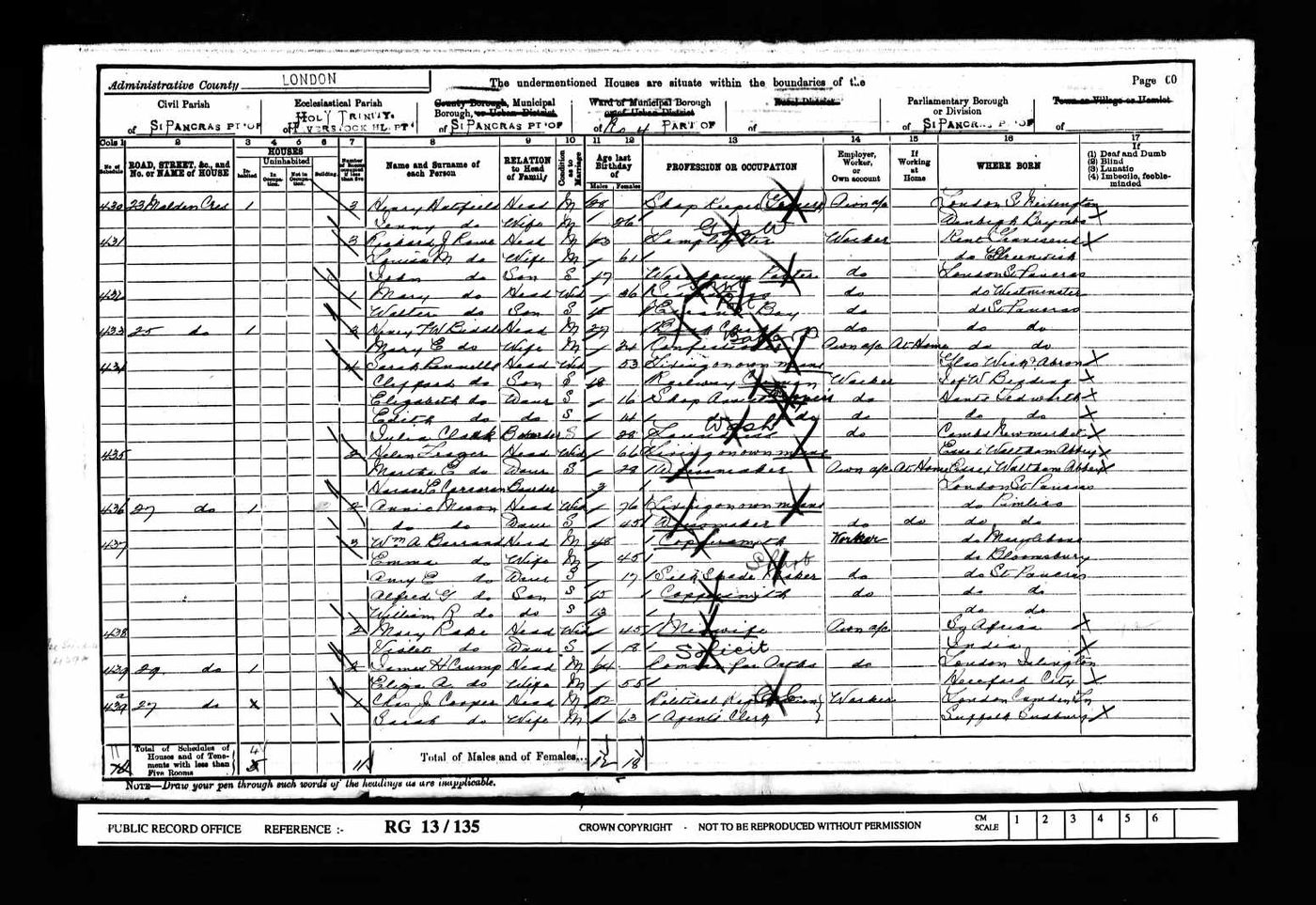1901 Census