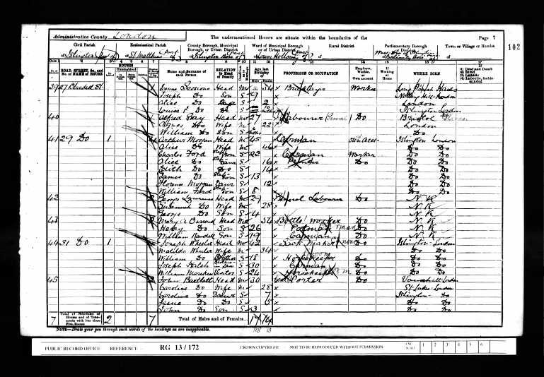 1901 Census as William Randall (son)