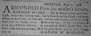 NORFOLK, Nov. 1, 1768. ABSCONDED from his master's service, ANTHONY WALKE.