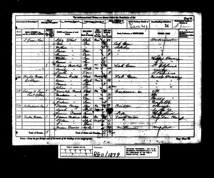 1881 census, Eleanor Wood (Written as Eliz)
